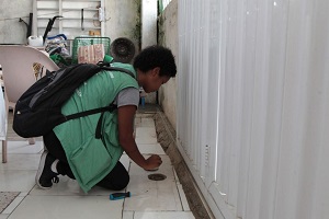 Ação contra a dengue será realizada em morro de Santos nesta semana